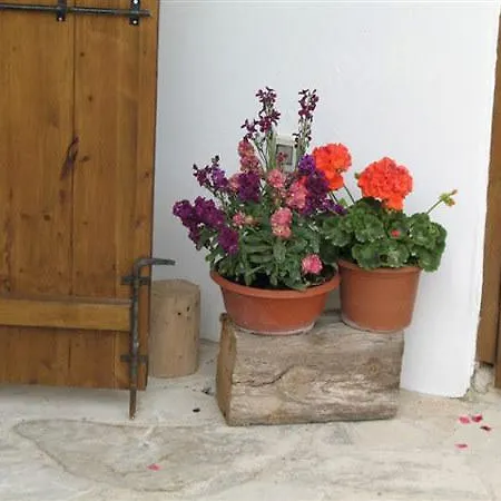Arkela Agrotouristic Houses Gospodarstwo wiejskie *